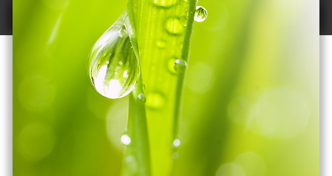 Kinesiotaping in Bad Segeberg